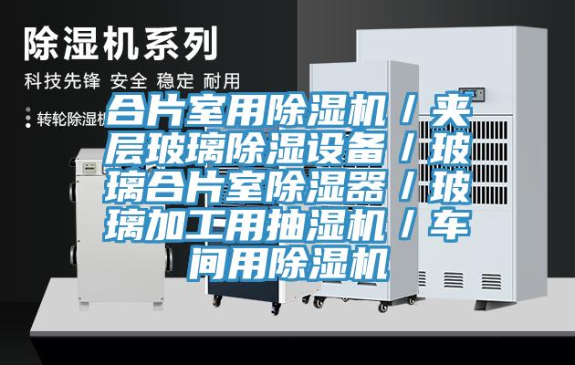 合片室用91看片网站／夾層玻璃除濕設備／玻璃合片室除濕器／玻璃加工用抽濕機／車間用91看片网站