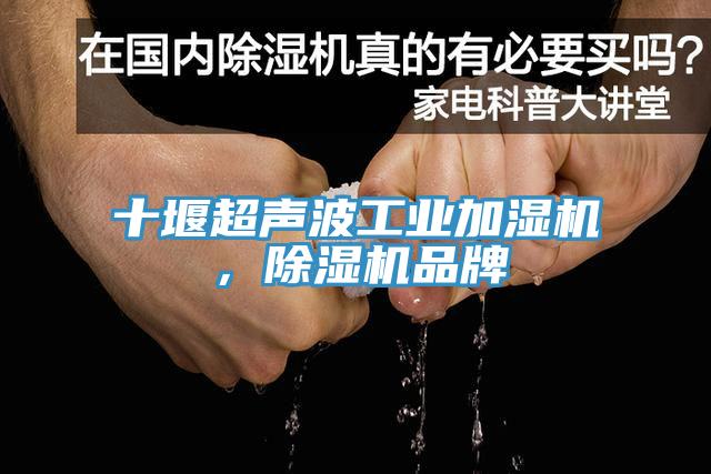 十堰超聲波工業加濕機，91看片网站品牌