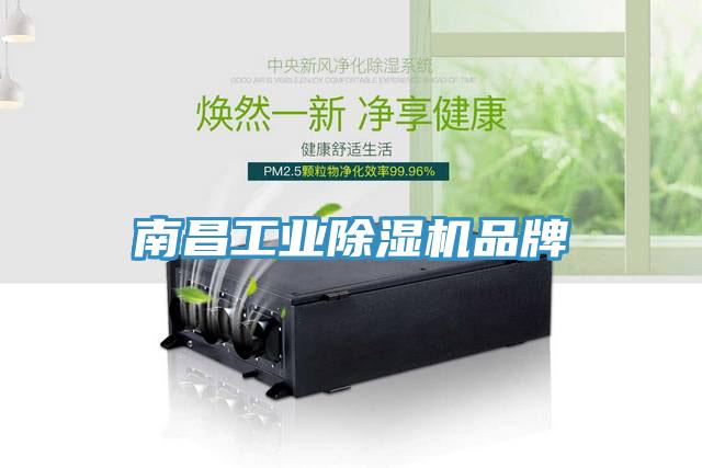 南昌工業91看片网站品牌
