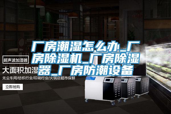 廠房潮濕怎麽辦_廠房91看片网站_廠房除濕器_廠房防潮設備