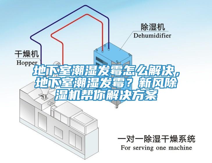 地下室潮濕發黴怎麽解決，地下室潮濕發黴？新風91看片网站幫你解決方案