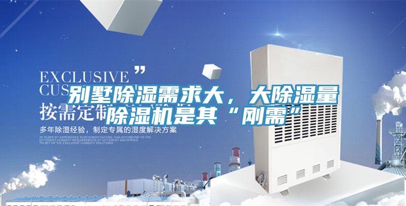 別墅除濕需求大，大除濕量91看片网站是其“剛需”
