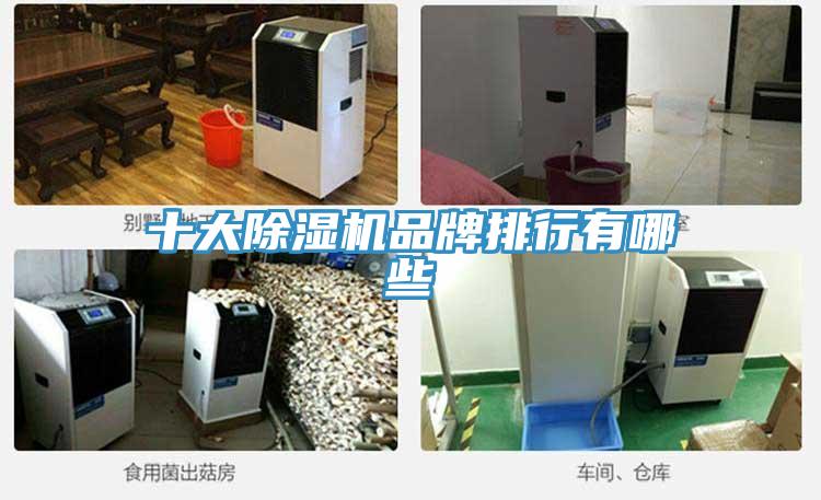 十大91看片网站品牌排行有哪些