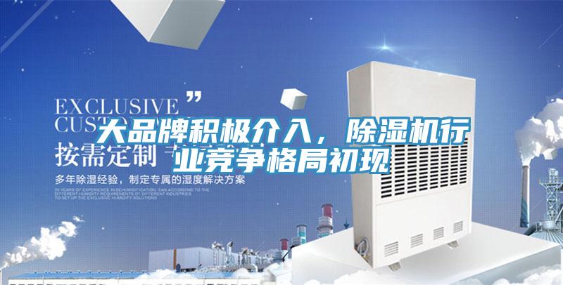 大品牌積極介入，91看片网站行業競爭格局初現