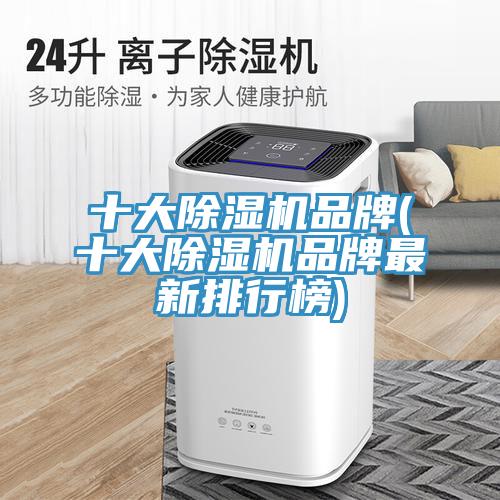 十大91看片网站品牌(十大91看片网站品牌最新排行榜)