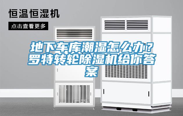 地下車庫潮濕怎麽辦？羅特轉輪91看片网站給你答案
