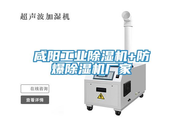 鹹陽工業91看片网站+防爆91看片网站廠家