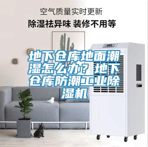 地下倉庫地麵潮濕怎麽辦？地下倉庫防潮工業91看片网站