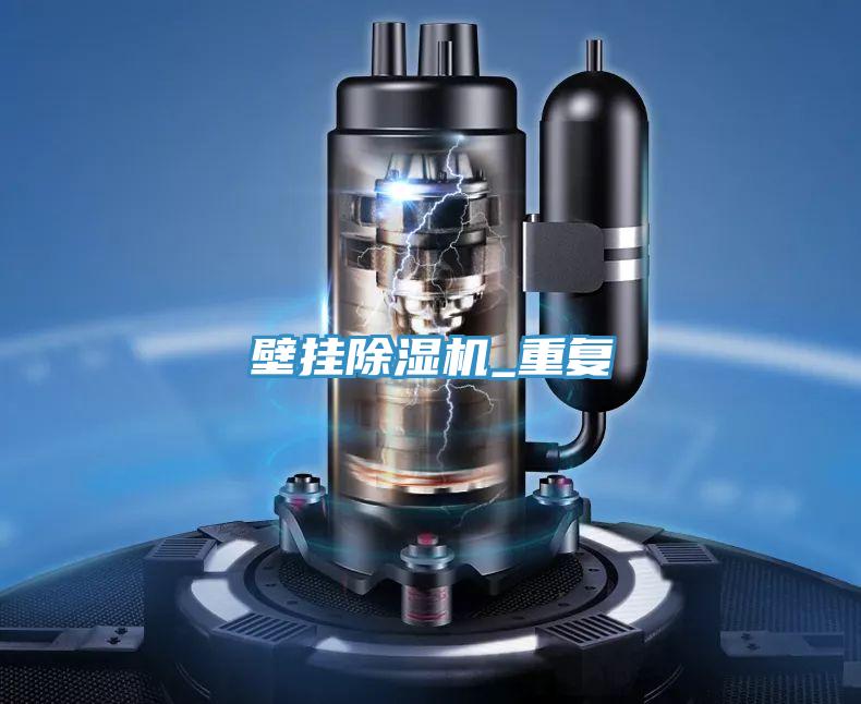 壁掛91看片网站_重複