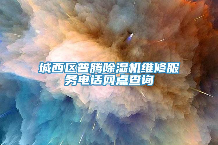 城西區普騰91看片网站維修服務電話網點查詢