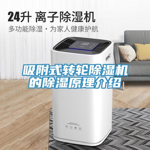 吸附式轉輪91看片网站的除濕原理介紹