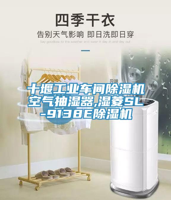 十堰工業車間91看片网站空氣抽濕器,濕菱SL-9138E91看片网站