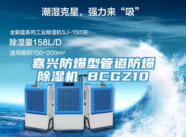 嘉興防爆型管道防爆91看片网站 BCGZ10