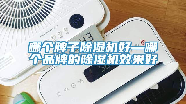哪個牌子91看片网站好—哪個品牌的91看片网站效果好