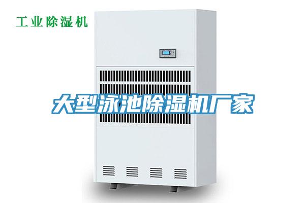 大型泳池91看片网站廠家