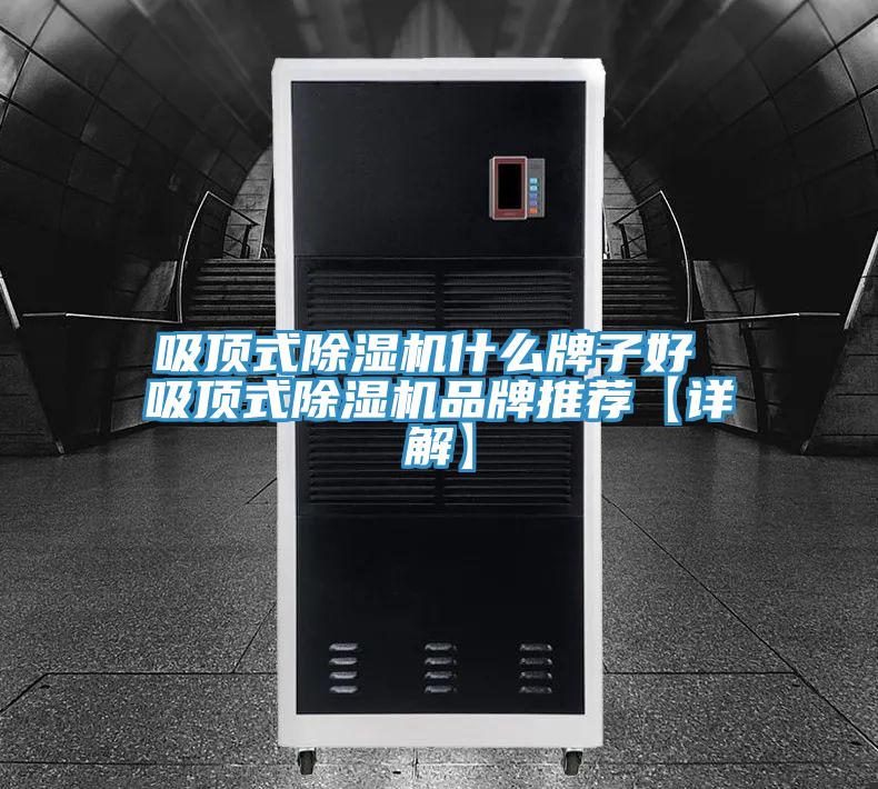 吸頂式91看片网站什麽牌子好 吸頂式91看片网站品牌推薦【詳解】