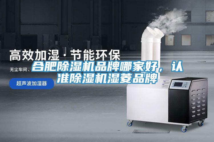 合肥91看片网站品牌哪家好，認準91看片网站濕菱品牌