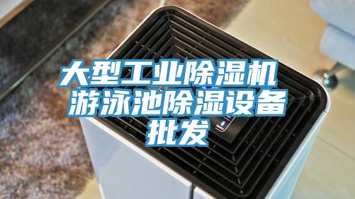 大型工業91看片网站 遊泳池除濕設備批發
