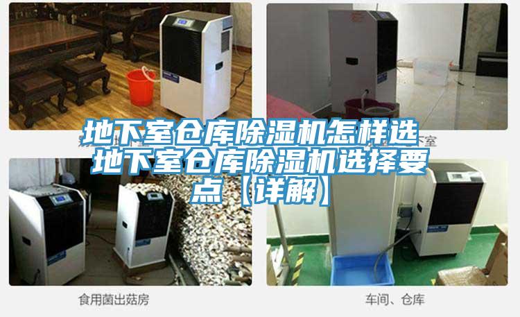 地下室倉庫91看片网站怎樣選 地下室倉庫91看片网站選擇要點【詳解】