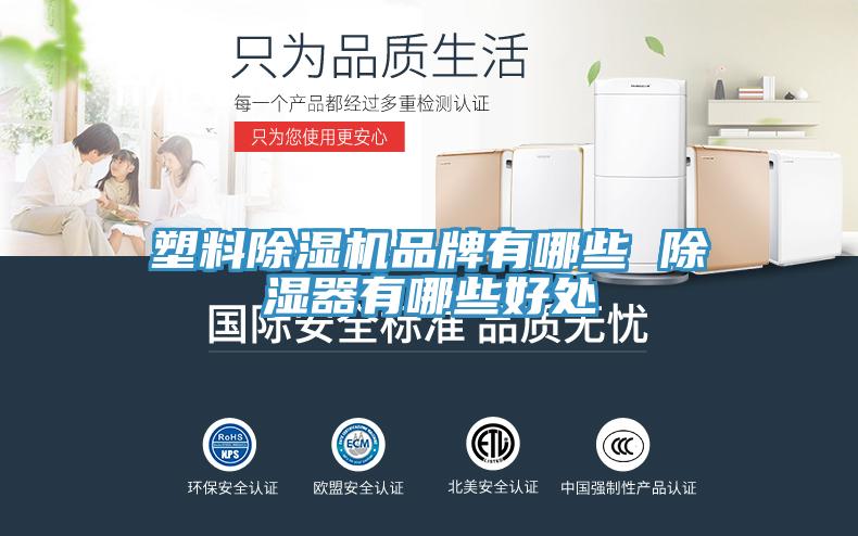 塑料91看片网站品牌有哪些 除濕器有哪些好處