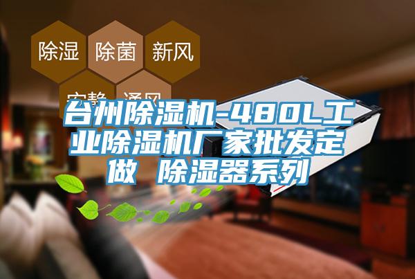 台州91看片网站-480L工業91看片网站廠家批發定做 除濕器係列