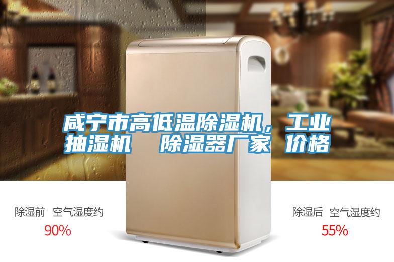 鹹寧市高低溫91看片网站，工業抽濕機  除濕器廠家 價格