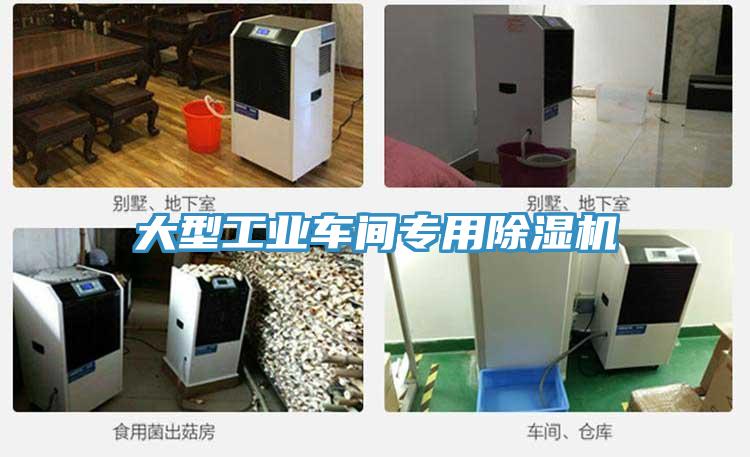 大型工業車間專用91看片网站