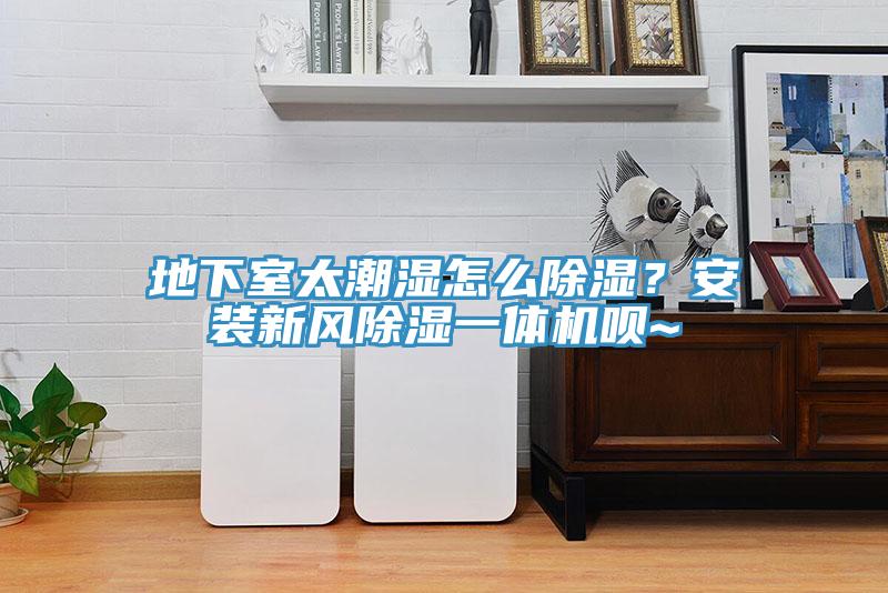 地下室太潮濕怎麽除濕？安裝新風除濕一體機唄~