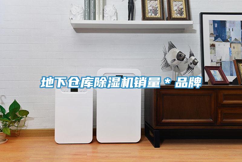 地下倉庫91看片网站銷量＊品牌