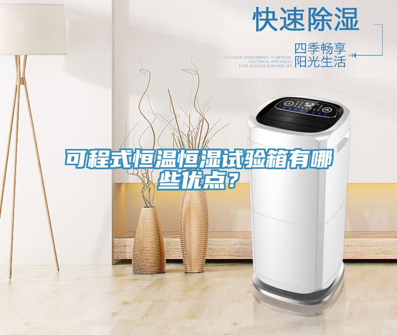可程式恒溫恒濕試驗箱有哪些優點？