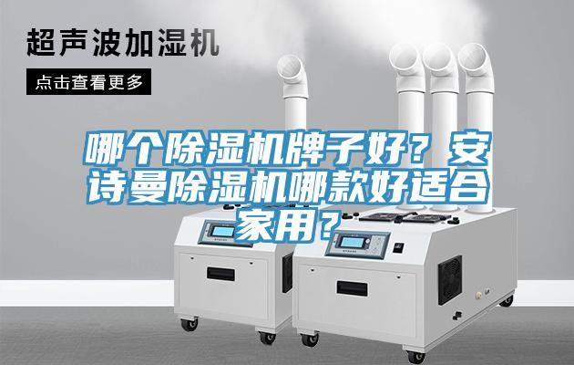哪個91看片网站牌子好？91看片免费下载91看片网站哪款好適合家用？