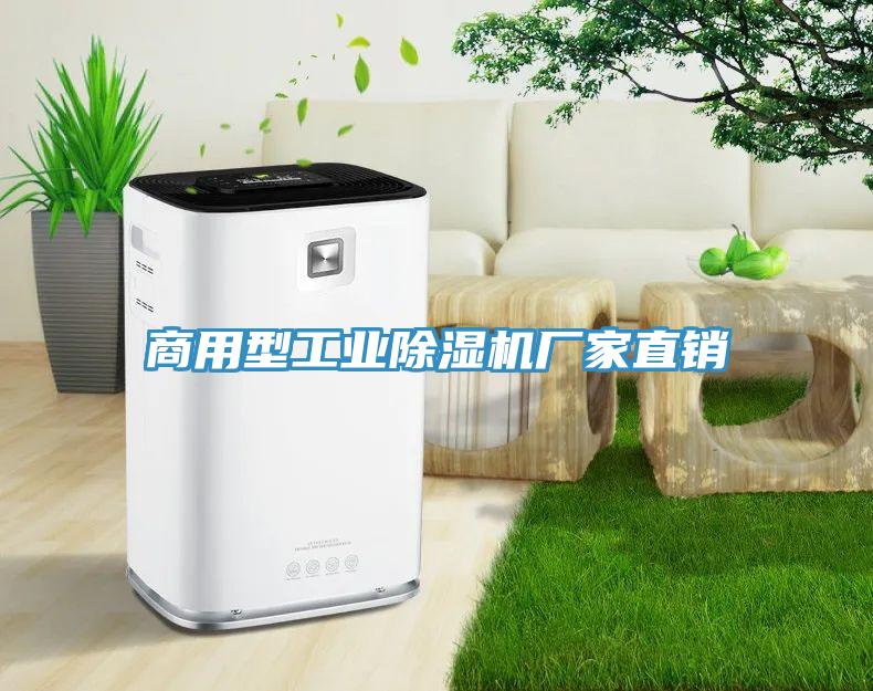 商用型工業91看片网站廠家直銷