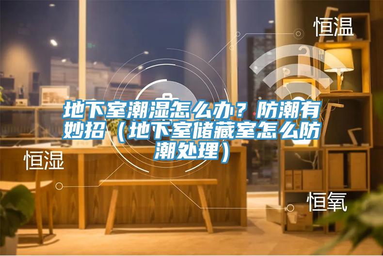 地下室潮濕怎麽辦？防潮有妙招（地下室儲藏室怎麽防潮處理）