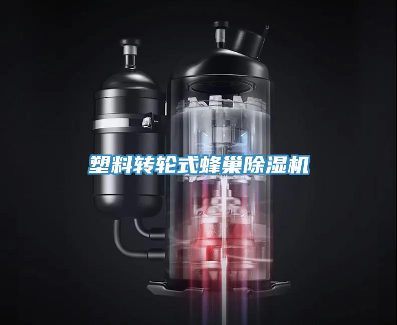 塑料轉輪式蜂巢91看片网站