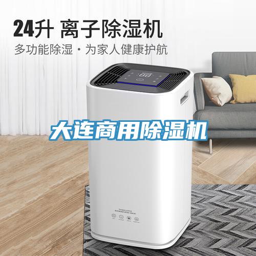大連商用91看片网站