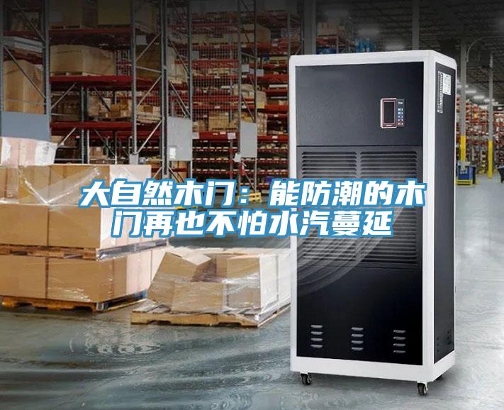 大自然木門：能防潮的木門再也不怕水汽蔓延