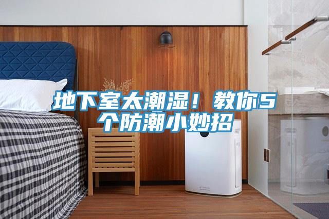 地下室太潮濕！教你5個防潮小妙招