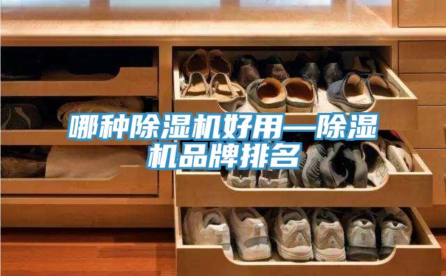 哪種91看片网站好用—91看片网站品牌排名