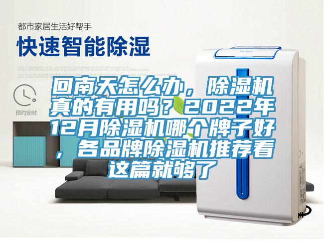 回南天怎麽辦，91看片网站真的有用嗎？2022年12月91看片网站哪個牌子好，各品牌91看片网站推薦看這篇就夠了