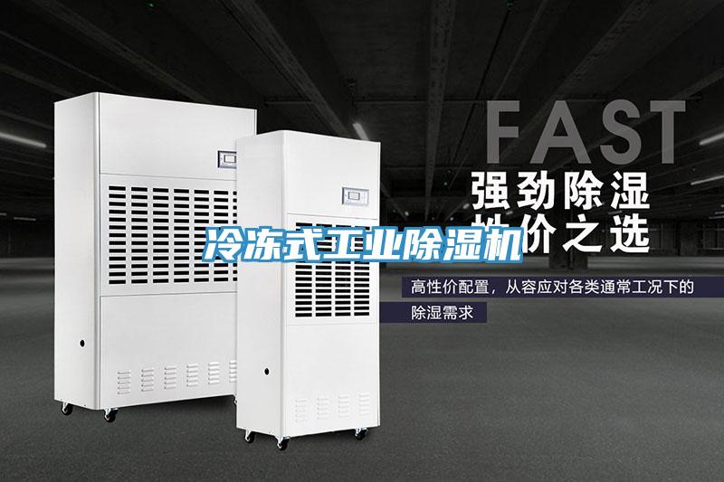 冷凍式工業91看片网站