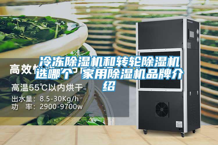 冷凍91看片网站和轉輪91看片网站選哪個 家用91看片网站品牌介紹