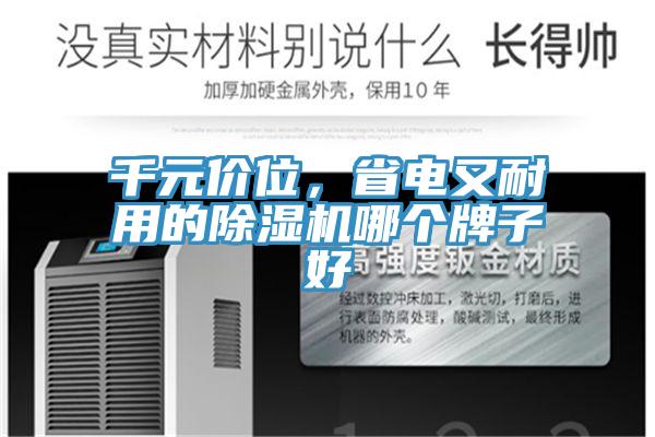 千元價位，省電又耐用的91看片网站哪個牌子好