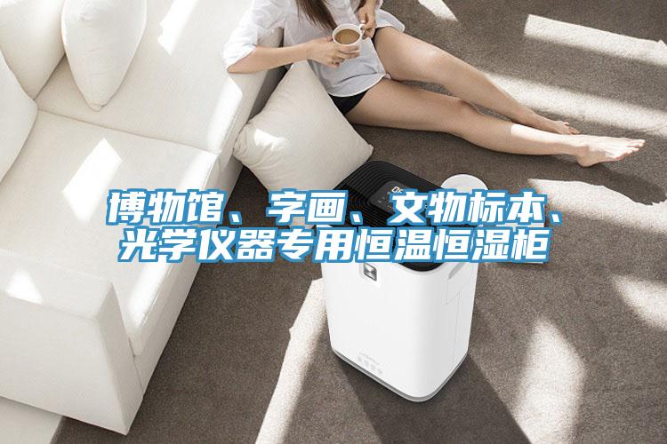 博物館、字畫、文物標本、光學儀器專用恒溫恒濕櫃