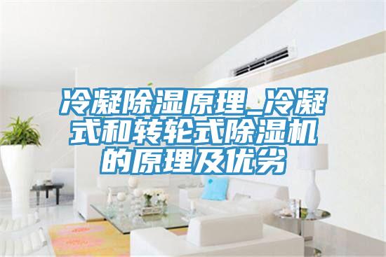 冷凝除濕原理_冷凝式和轉輪式91看片网站的原理及優劣