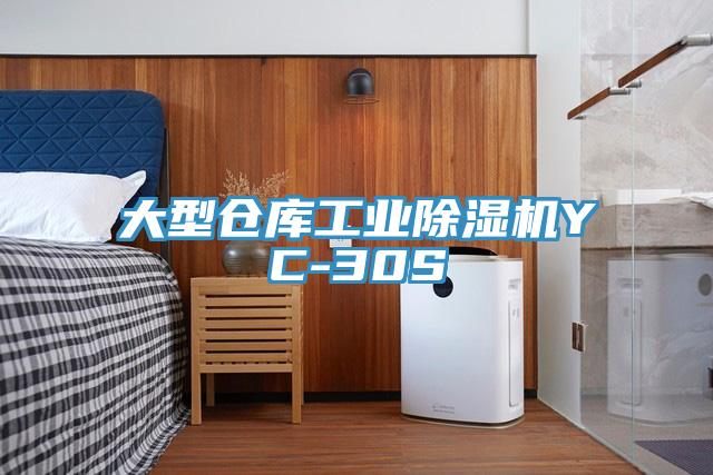 大型倉庫工業91看片网站YC-30S