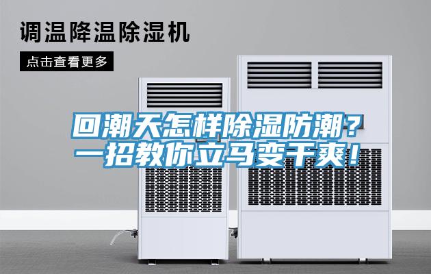 回潮天怎樣除濕防潮？一招教你立馬變幹爽！
