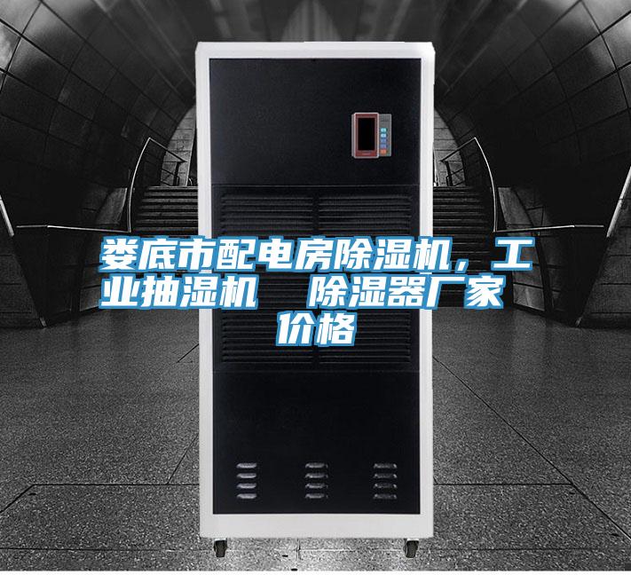婁底市配電房91看片网站，工業抽濕機  除濕器廠家 價格