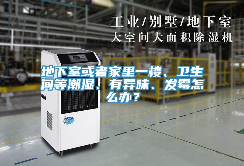 地下室或者家裏一樓、衛生間等潮濕、有異味、發黴怎麽辦？