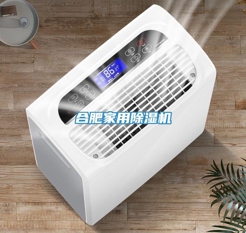 合肥家用91看片网站