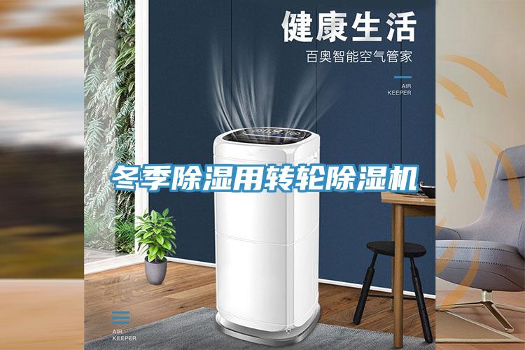 冬季除濕用轉輪91看片网站
